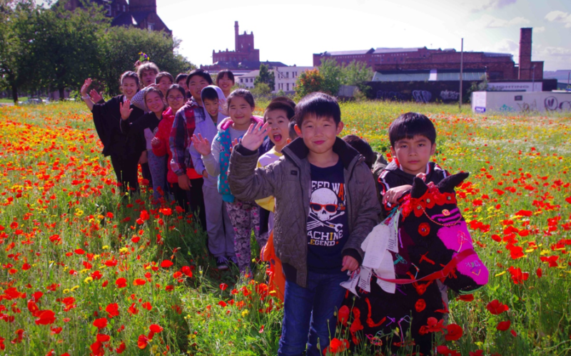 Wildflowering Manchester 2018